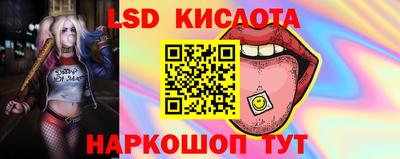 Альфа ПВП Малгобек