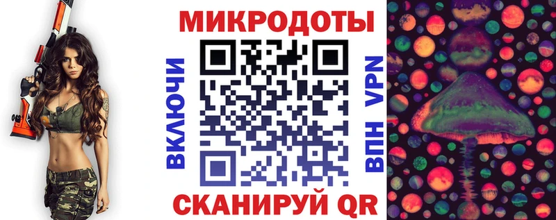 купить сайты Заинск Псилоцибиновые грибы мицелий