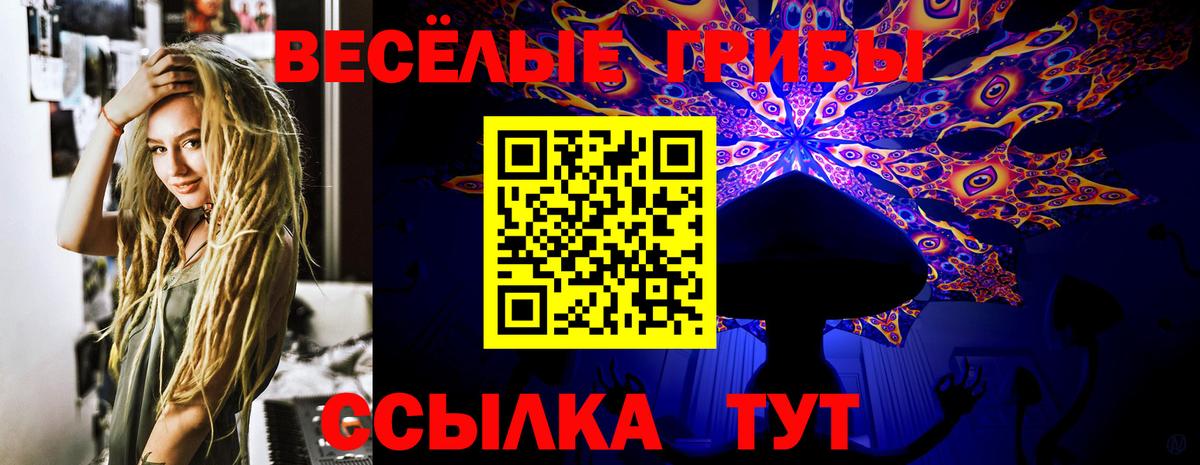 Галлюциногенные грибы прущие грибы Заинск