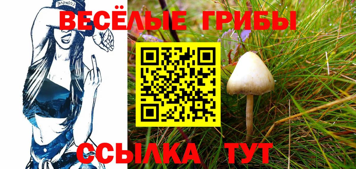 цены   Вход с VPN  Заинск  Псилоцибиновые грибы прущие грибы 