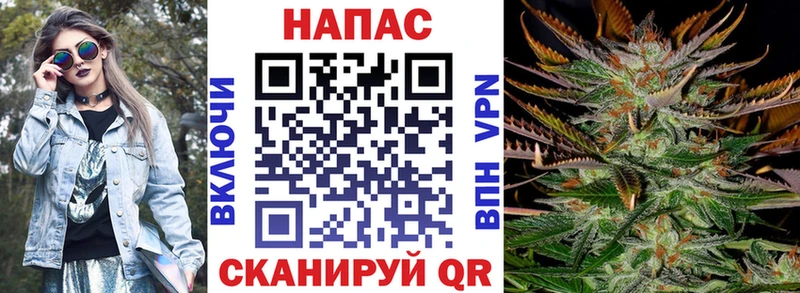 Бошки Шишки гибрид  сколько стоит  Заинск 